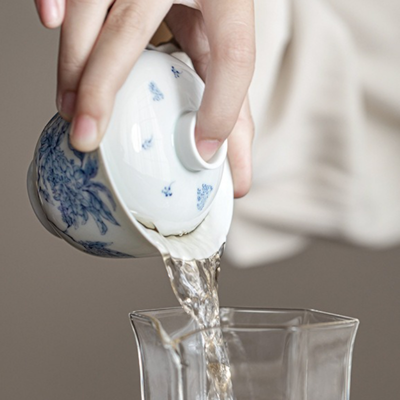 Gaiwan de porcelana blanca y a - Gongfu Tea Set reseña y precio